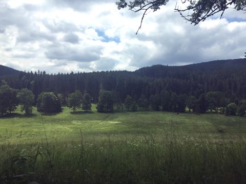 Foto 51